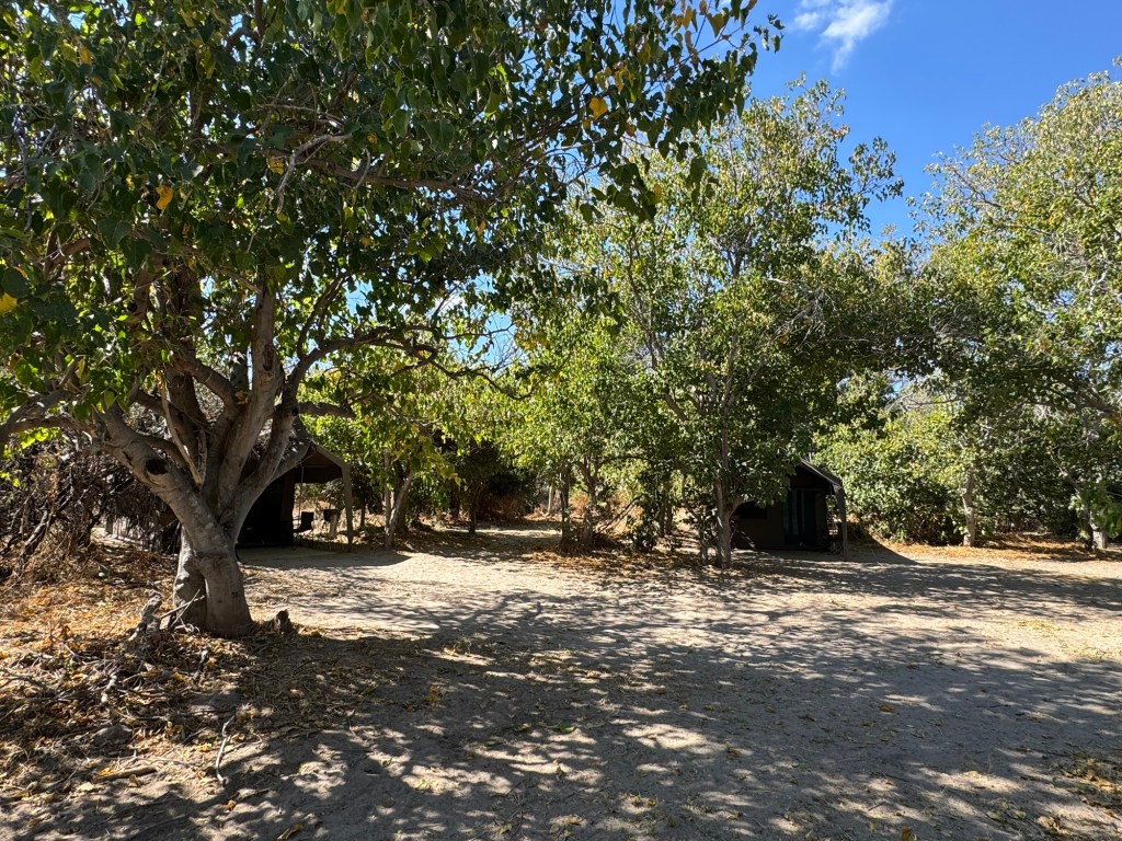 Glamping—Let’s Talk Accommodations