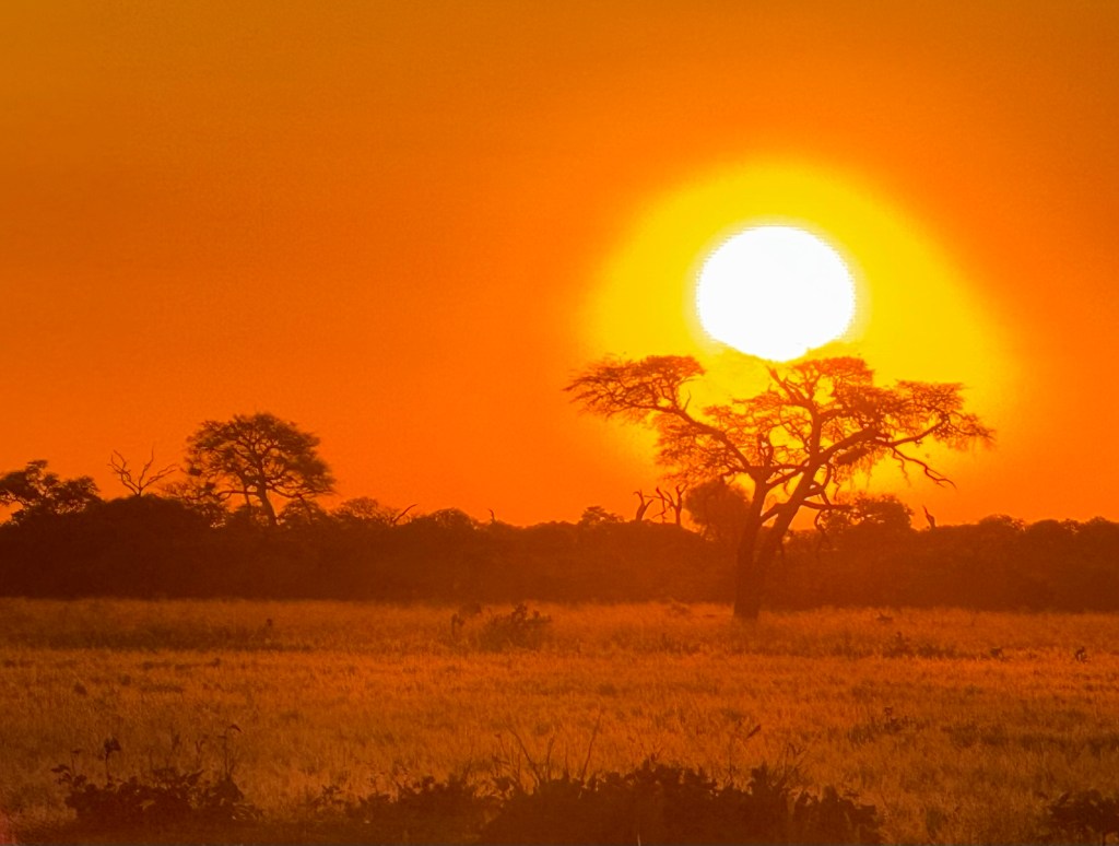 Preparing for Safari